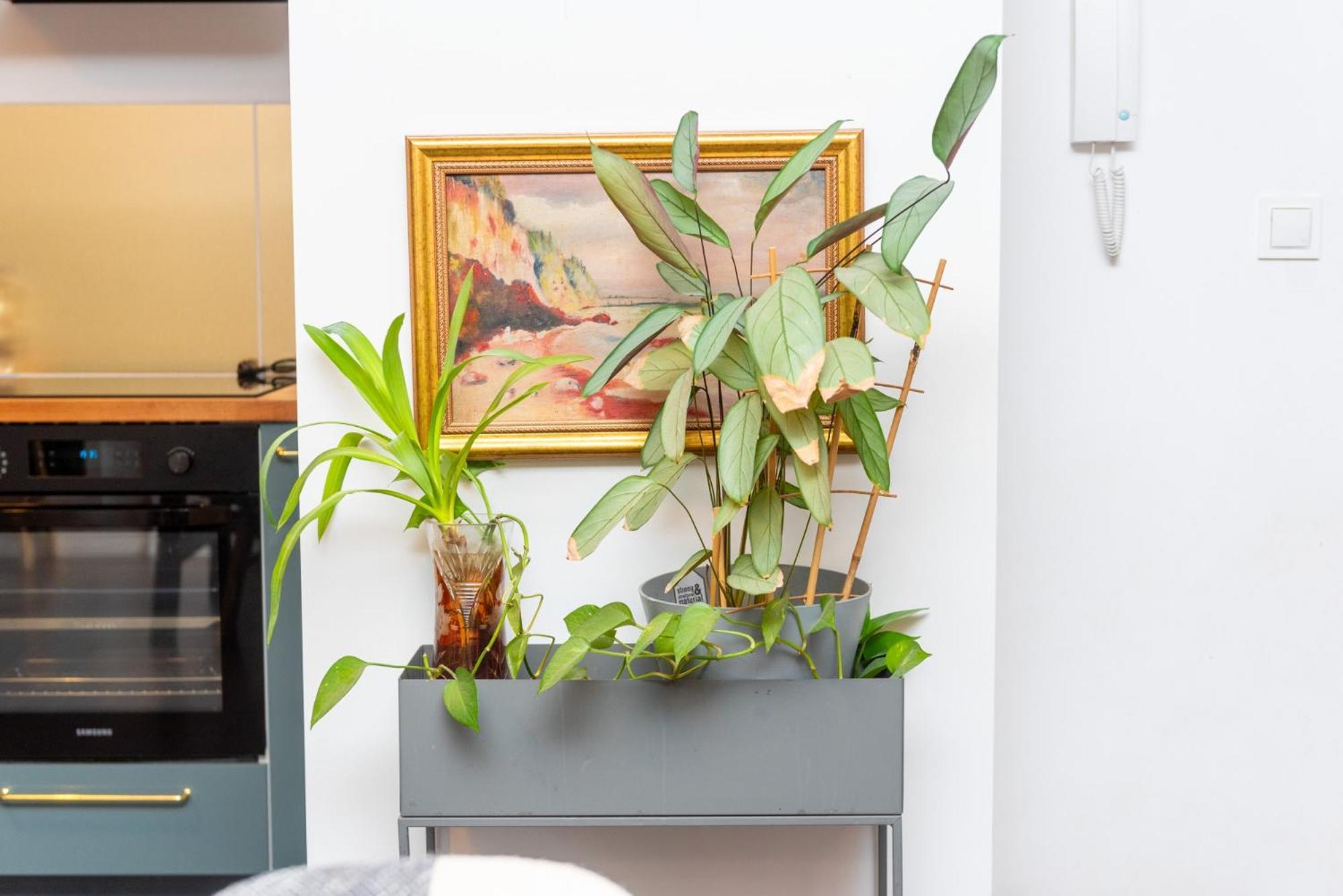 Apartment Magnolia Happy